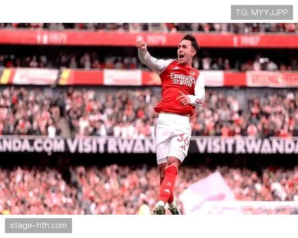 英超谢联引援 英超谢联引援